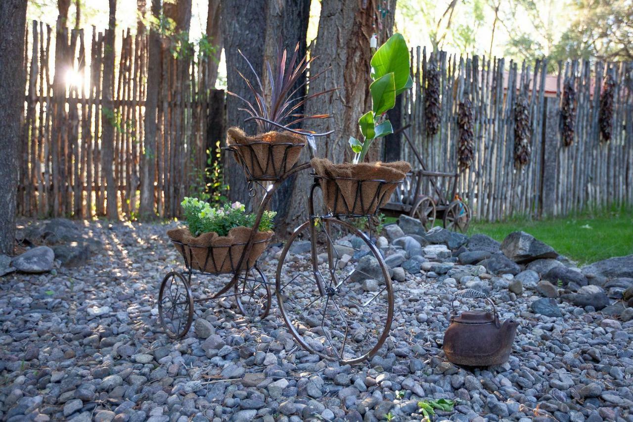 Dreamcatcher B&B Taos Extérieur photo
