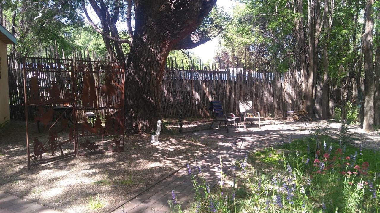 Dreamcatcher B&B Taos Extérieur photo