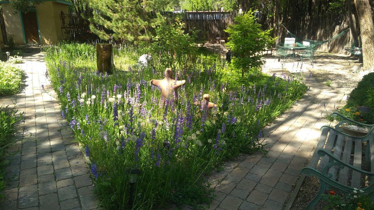 Dreamcatcher B&B Taos Extérieur photo